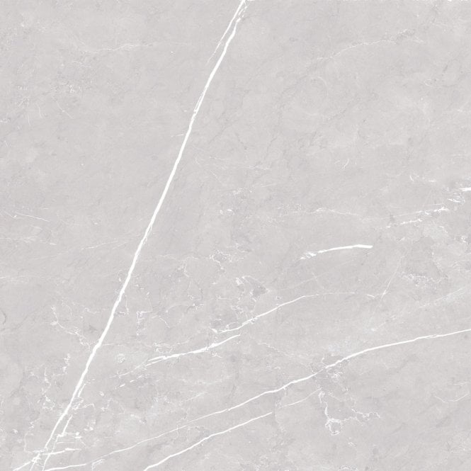 Antigua Silver Polished 80cm x 80cm Wall & Floor Tile
