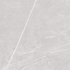 Antigua Silver Polished 80cm x 80cm Wall & Floor Tile
