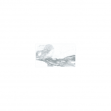 BCT Windsor Silver 25cm x 50cm (Valeria Plata) Wall Tile