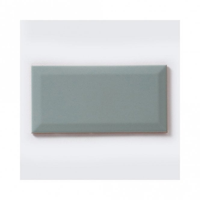Biselado Alga Brillo 10cm x 20cm Wall Tile