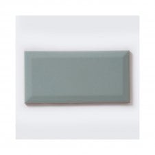 Biselado Alga Brillo 10cm x 20cm Wall Tile