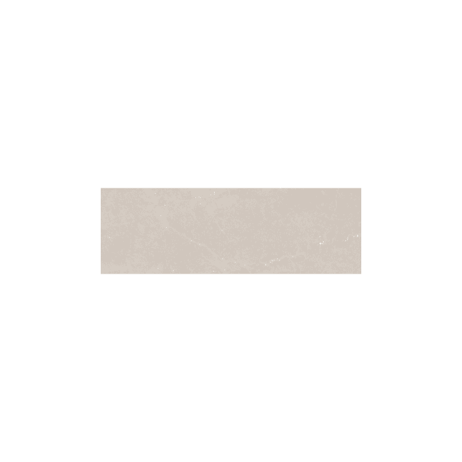Bleuemix Taupe 40cm x 120cm Wall Tile