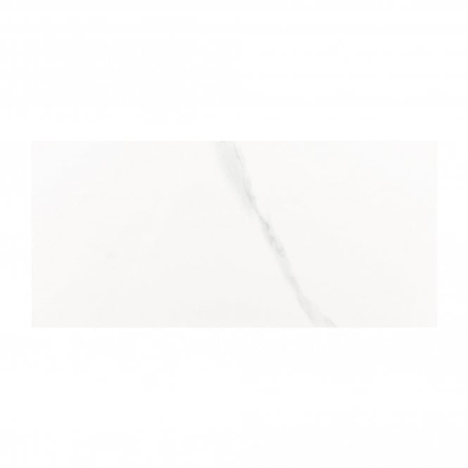 Carrara Glossy 25cm x 50cm Wall Tile (Full Box Deal)