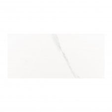 Carrara Glossy 25cm x 50cm Wall Tile (Full Box Deal)
