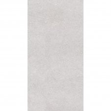 Earding Grey 60cm x 120cm Wall & Floor Tile