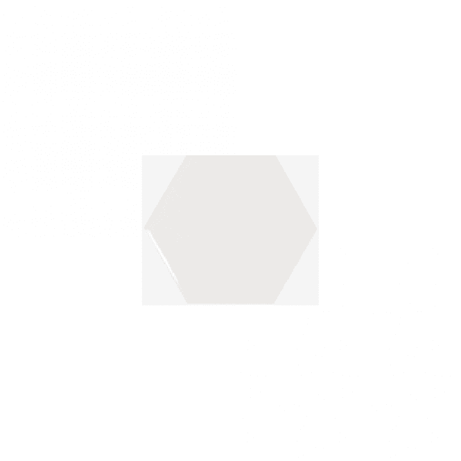 Equipe Hexagon Scale White 10.7cm x 12.4cm Wall Tile (Full Box Deal)