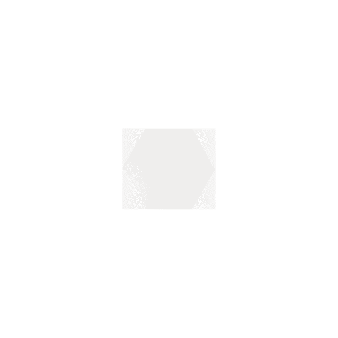 Equipe Hexagon Scale White Matt 10.7cm x 12.4cm Wall Tile (Full Box Deal)