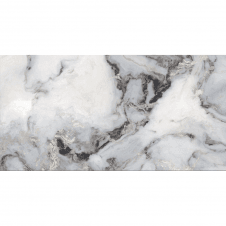 Exotica Silver Polished 60cm x 120cm Wall & Floor Tile
