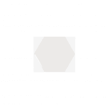 Hexagon Scale White 10.7cm x 12.4cm Wall Tile (Full Box Deal)