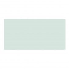 Liso Alga Brillo (Staright Edge) 10cm x 20cm Wall Tile