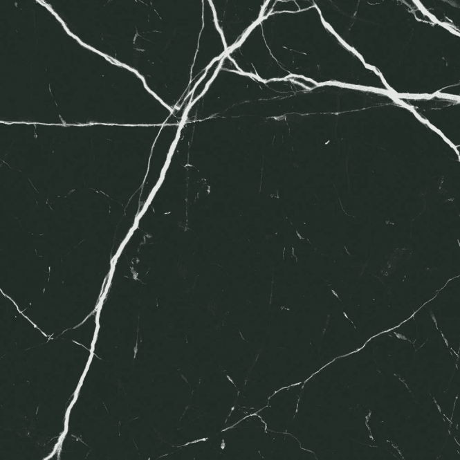 Nero Marquina Matt 30cm x 30cm Wall and Floor Tile