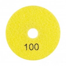 PDP100 Panther Polishing Pad 100MM #100 Grit