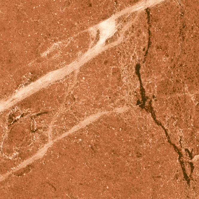 Rojo Alicante Matt 30cm x 30cm Wall and Floor Tile
