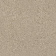 Salt & Pepper Cookie Matt 60cm x 60cm Wall and Floor Tile
