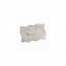 Sella White 44cm x 66cm Wall & Floor Tile