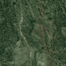 Verde Alpi Matt 30cm x 30cm Wall and Floor Tile