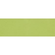 Verde Brillo 10cm x 30cm Wall Tile